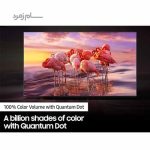 رنگ های تلویزیون سامسونگ Q65B